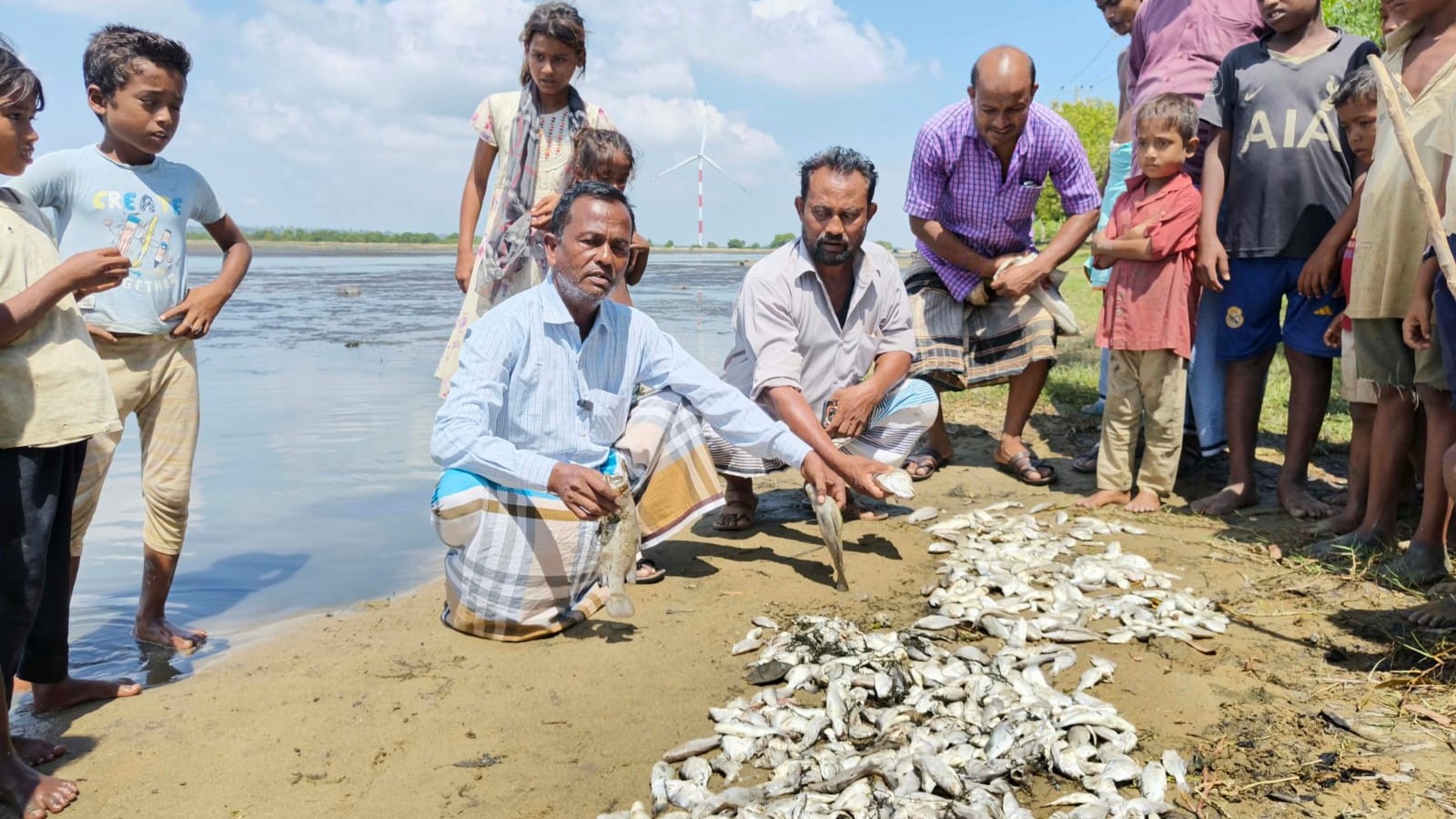 ঈদগাঁওয়ে মৎস্য ঘেরে বিষ প্রয়োগ, ৮ চাষি পরিবারের কোটি টাকার ক্ষতি